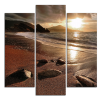 Obraz na plátně Hnědá pláž