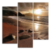 Obraz na plátně Hnědá pláž