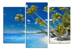 Obraz na plátně Pláž a palmy