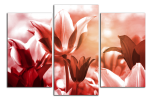 Obraz na plátně Tulipány