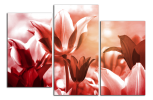 Obraz na plátně Tulipány