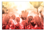Obraz na plátně Tulipány