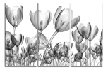 Obraz na plátně Tulipány