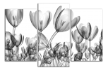 Obraz na plátně Tulipány