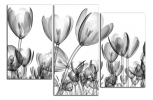 Obraz na plátně Tulipány