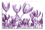 Obraz na plátně Tulipány