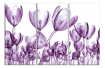 Obraz na plátně Tulipány