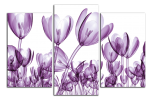 Obraz na plátně Tulipány