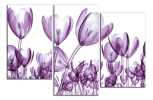 Obraz na plátně Tulipány