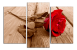 Obraz na plátně Růže