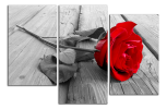 Obraz na plátně Rudá růže