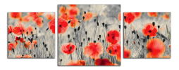 Obraz na plátně Vlčí máky panorama