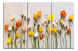 Obraz na plátně Máky na stole