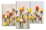 Obraz na plátně Máky na stole