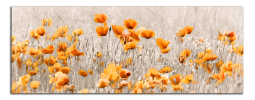 Obraz na plátně Oranžové máky