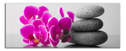 Obraz na plátně Orchidej a zen kameny