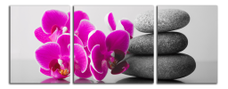 Obraz na plátně Orchidej a zen kameny