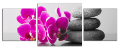 Obraz na plátně Orchidej a zen kameny
