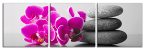 Obraz na plátně Orchidej a zen kameny