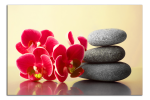 Obraz na plátně Orchidej a zen kameny