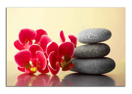 Orchidej a zen kameny