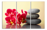 Obraz na plátně Orchidej a zen kameny