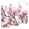 Obraz na plátně Magnolie