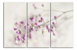 Obraz na plátně Detail květu