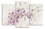 Obraz na plátně Detail květu