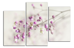 Obraz na plátně Detail květu