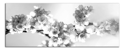 Obraz na plátně Černobílé květy