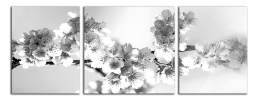 Obraz na plátně Černobílé květy