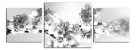 Obraz na plátně Černobílé květy