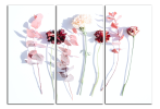 Obraz na plátně Květy na plátně