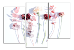 Obraz na plátně Květy na plátně