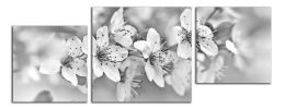 Obraz na plátně Květy 