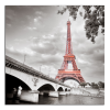 Obraz na plátně Eiffelovka a most